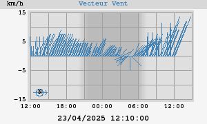 Wind Vector